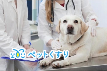 ペットくすり